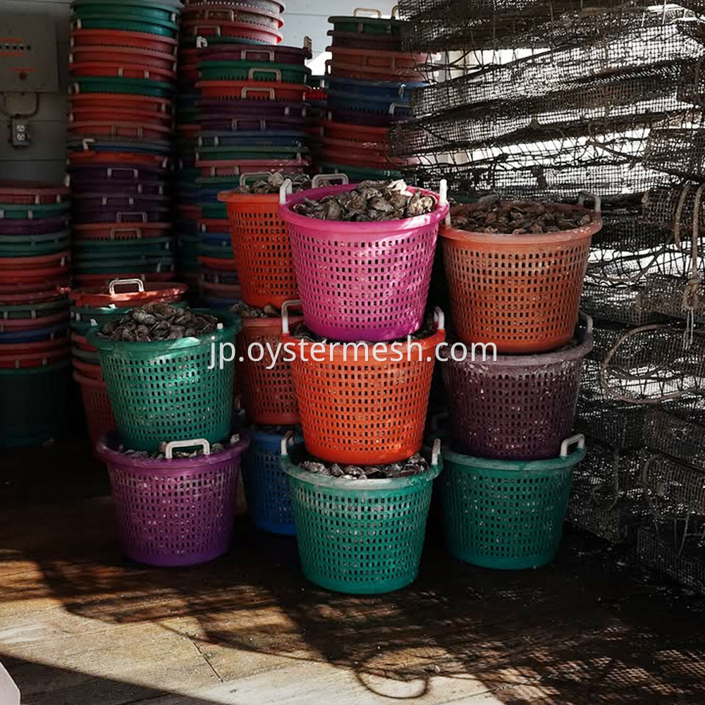 Oyster Handling Basket (3)